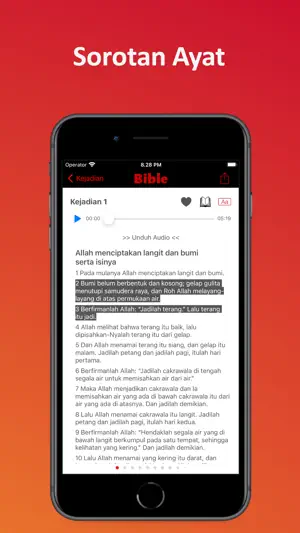 Alkitab Terjemahan Baru Audio screenshot 3