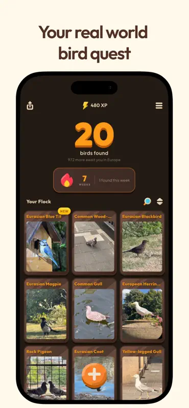 Birder - Bird Identifier screenshot 1 of 5