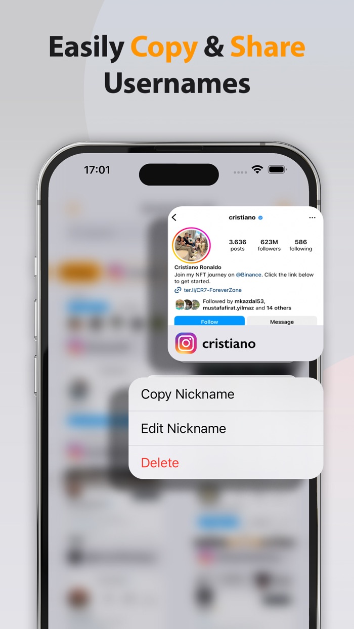 Screenshot Link Bio  Manager