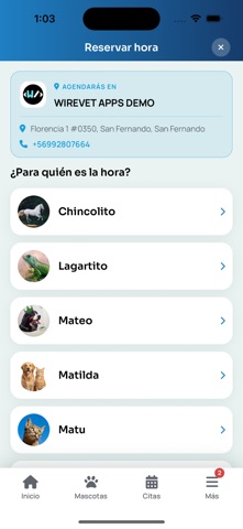 WireVet Tutores Screenshot 6 of 8
