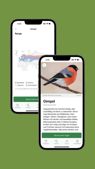 Screenshot von Merlin Bird ID Von Cornell Lab auf dem iPhone 7