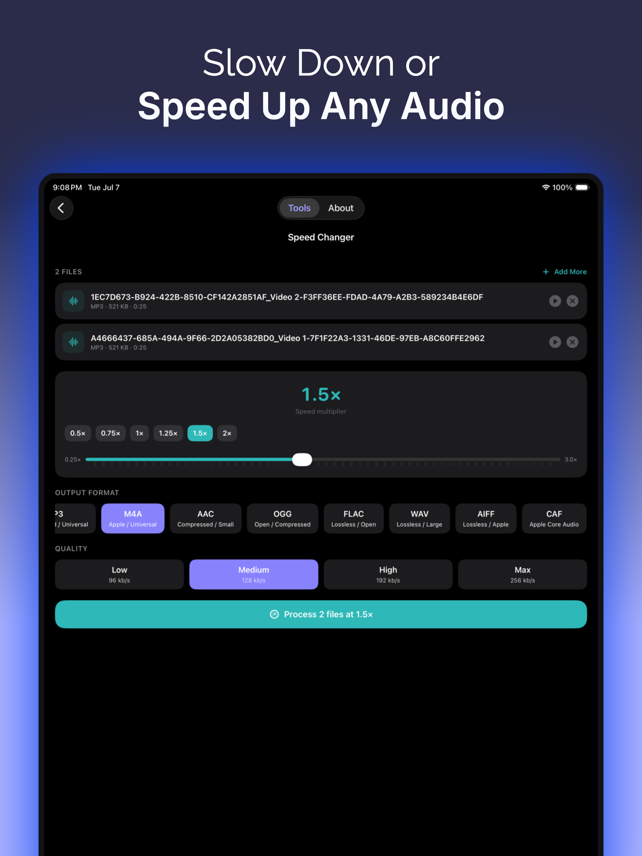 Audio Converter: OGG, MP3, WAV screenshot 14
