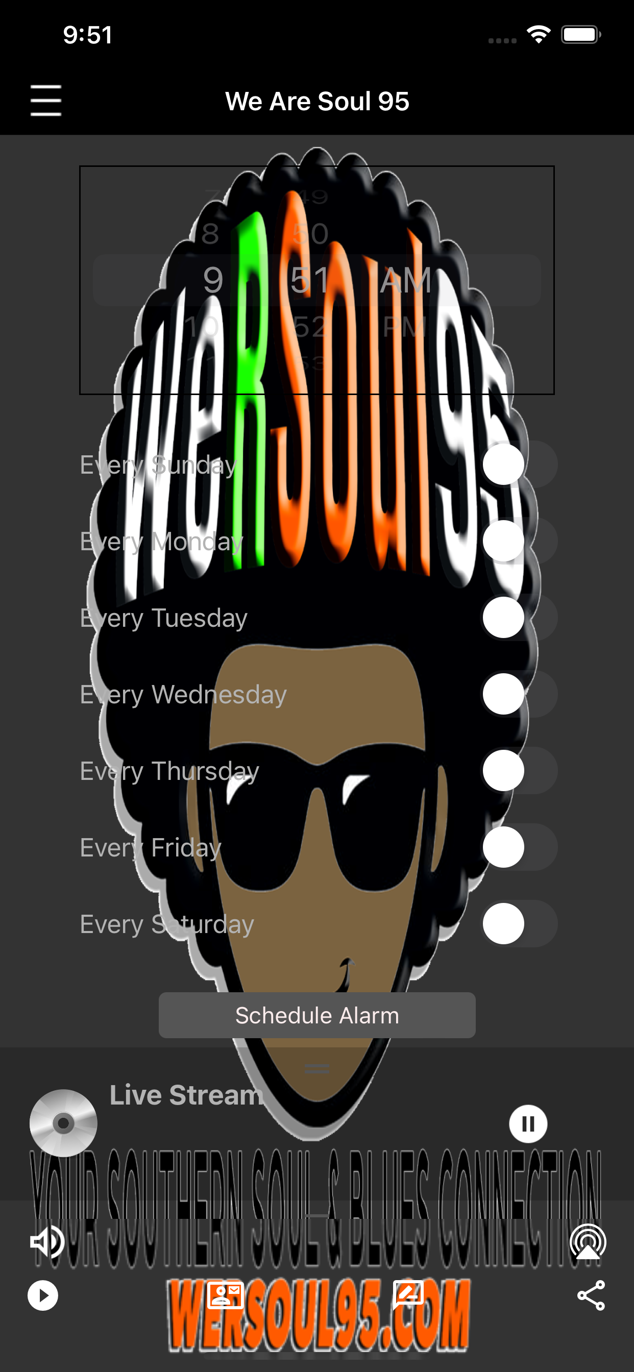WerSoul95