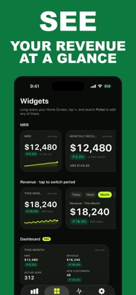 Pulse: Dodo Revenue Tracker screenshot 1