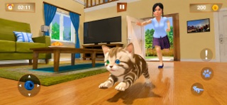 My Small Cat Simulator Screenshot 2 of 5
