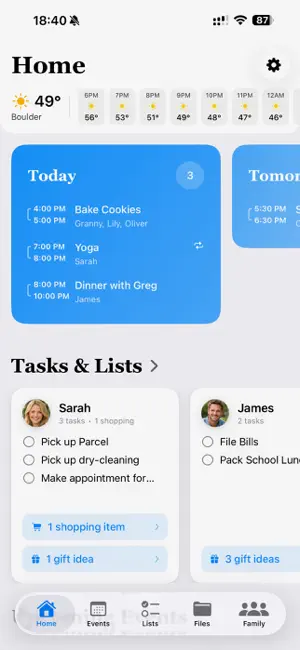 Family - Central screenshot 1