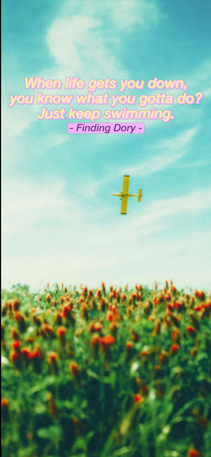 Rizz Movie -  Cinema Quotes