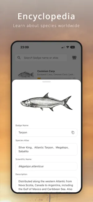 Litura - Fish Album & Collect screenshot 4