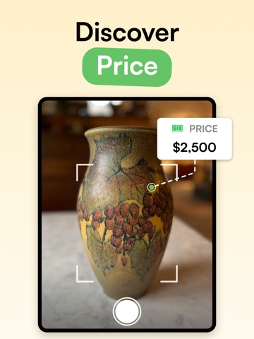 Curio - Antique Identifier iPad screenshot 2