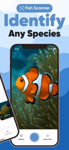 Fish identifier: FishGPT Screenshot 2 of 5