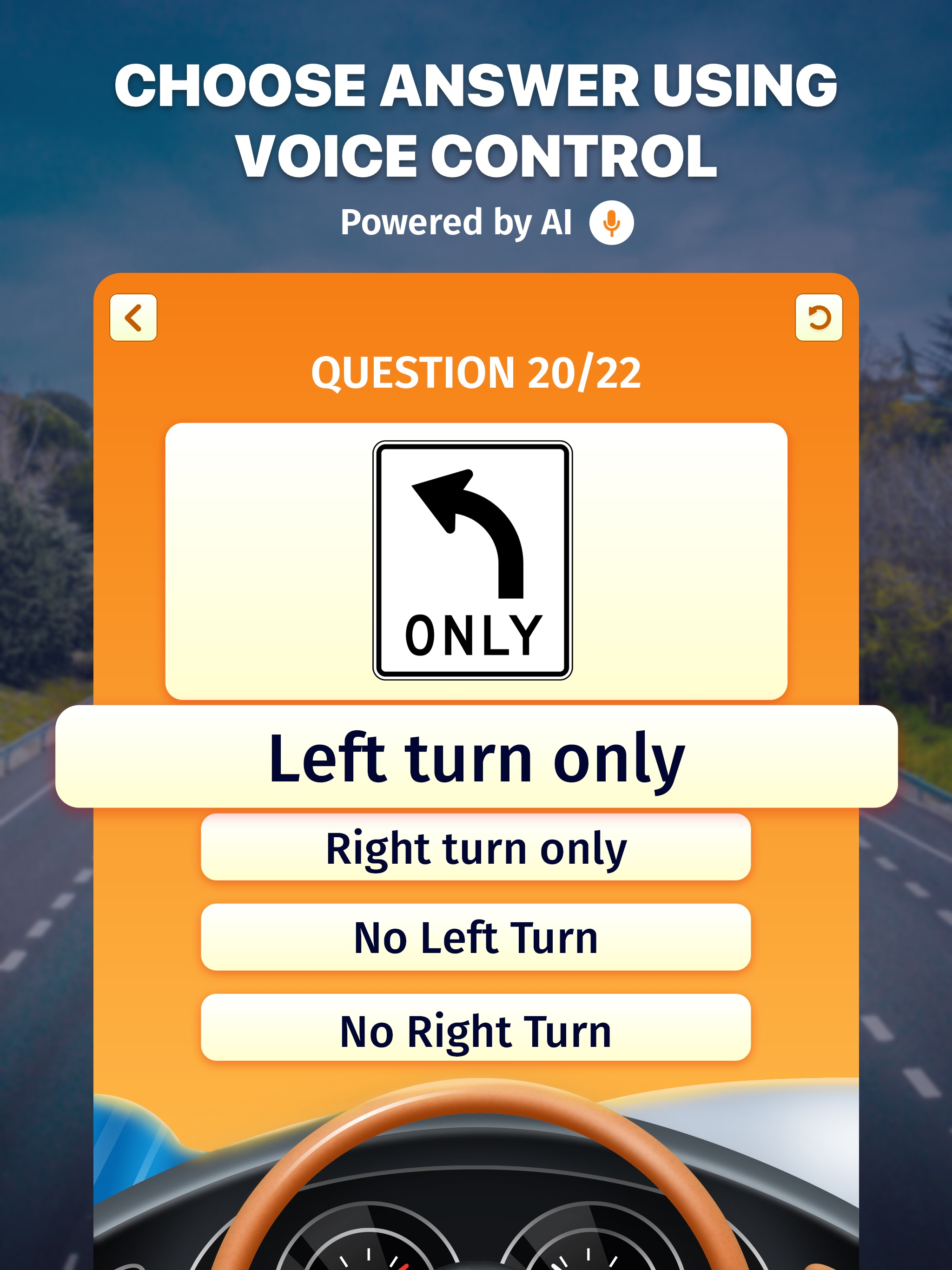 Road Signs AI: Test & Theory