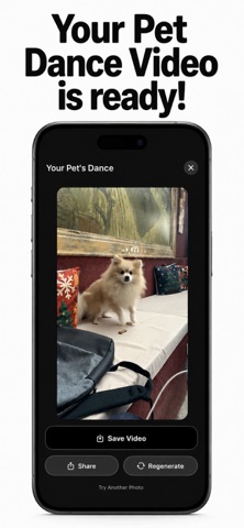 Pet Dance AI iPhone screenshot