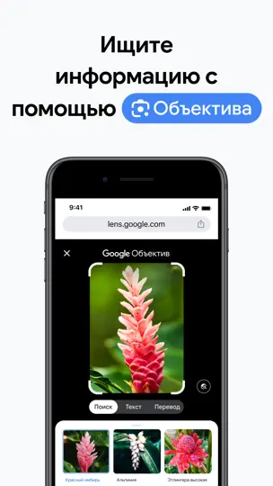 Скриншот Chrome – браузер от Google на iPhone 2