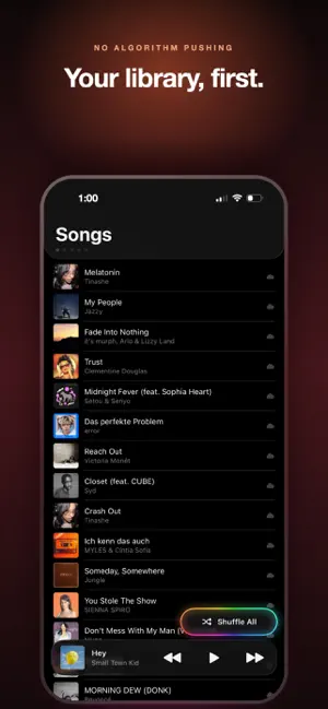 Forte: Lossless Music Player screenshot 2