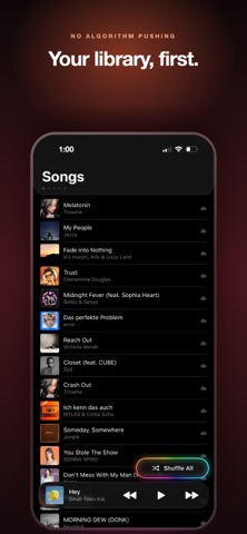Forte: Lossless Music Player のスクリーンショット