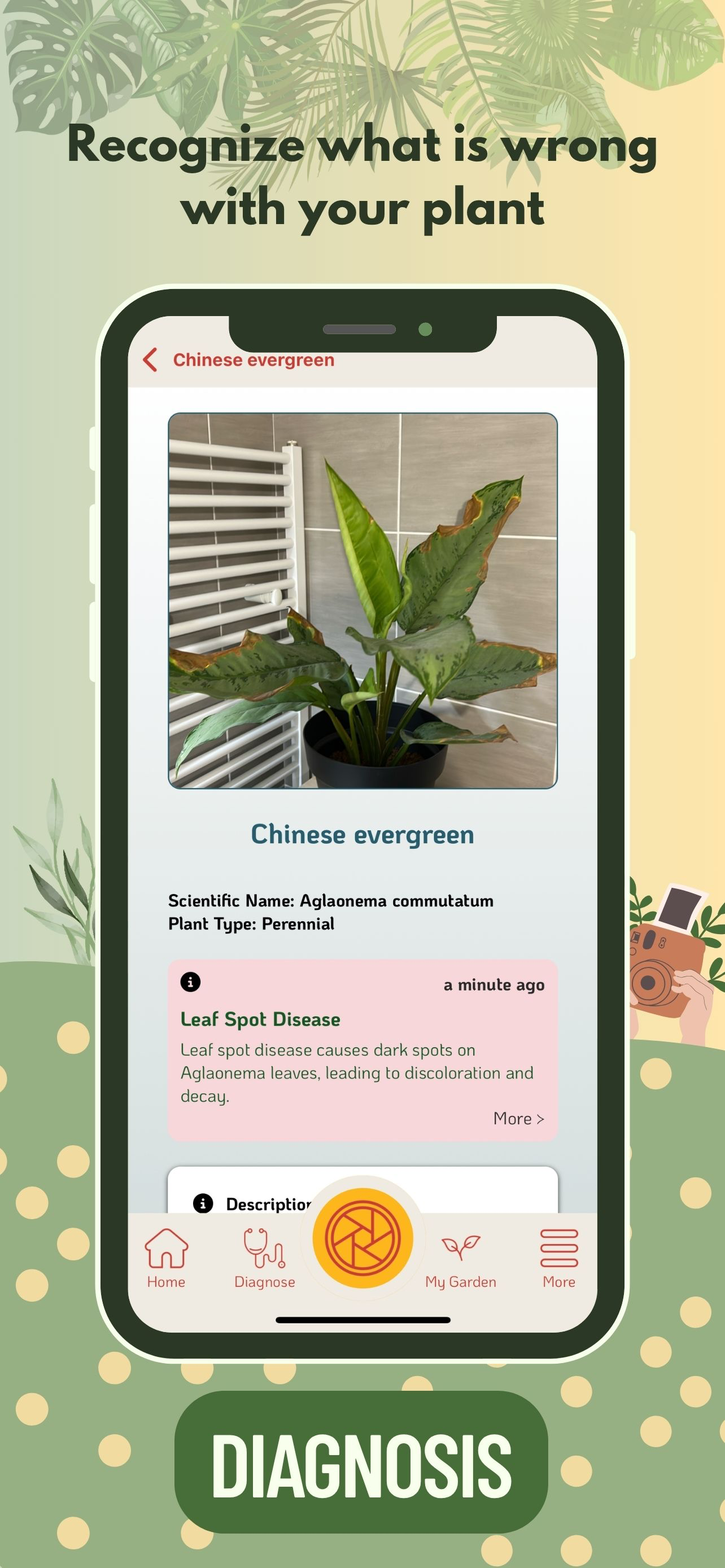 VerdiVista - Plant Identifier