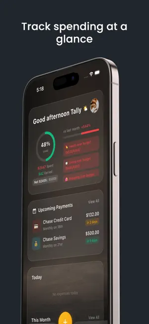Tally- Smart Expense Tracker screenshot 1