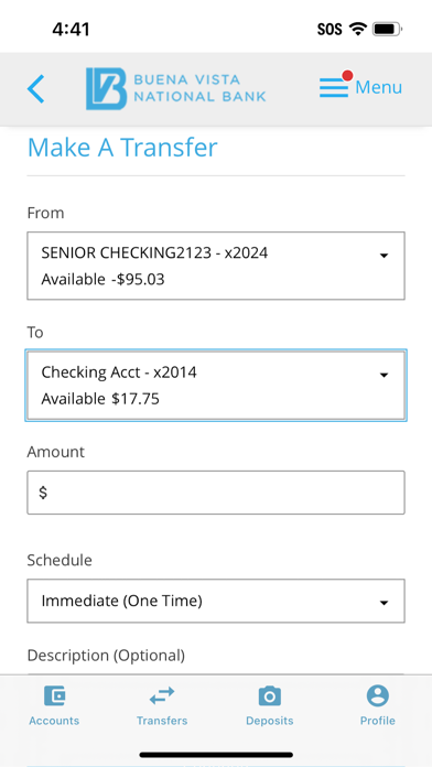 Buena Vista National Bank Screenshot