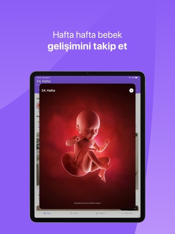 MomMentor - Hamilelik Takibi iPad screenshot 3
