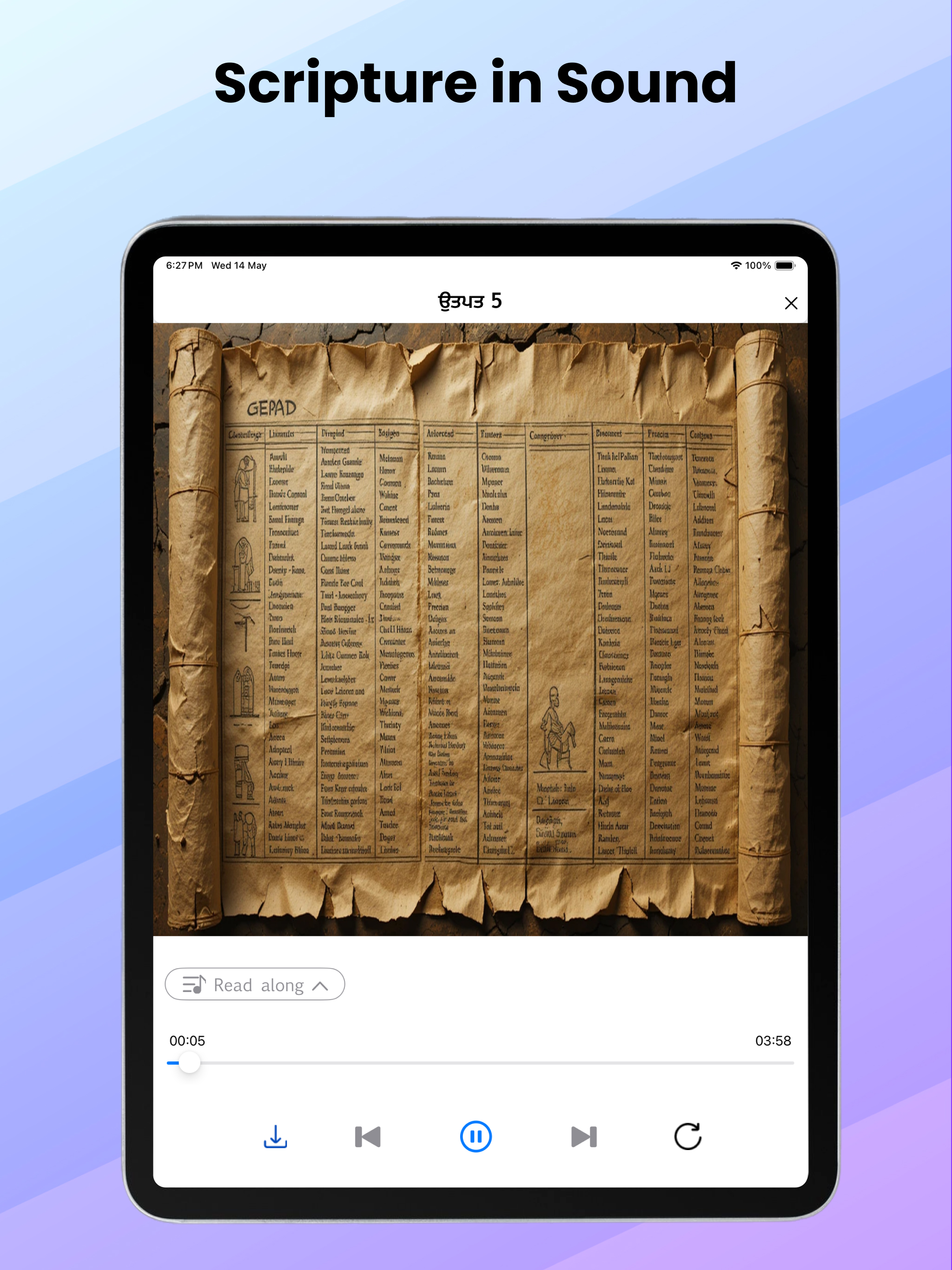 Punjabi Bible