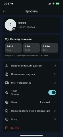 Bilgir AI screenshot