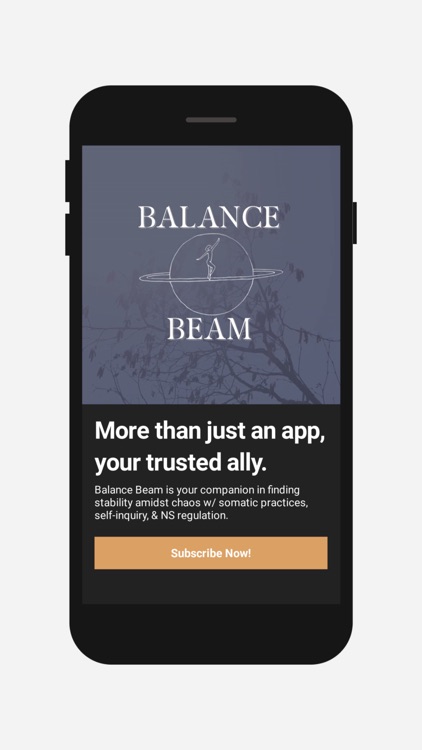 Balance Beam- Dain Wellness