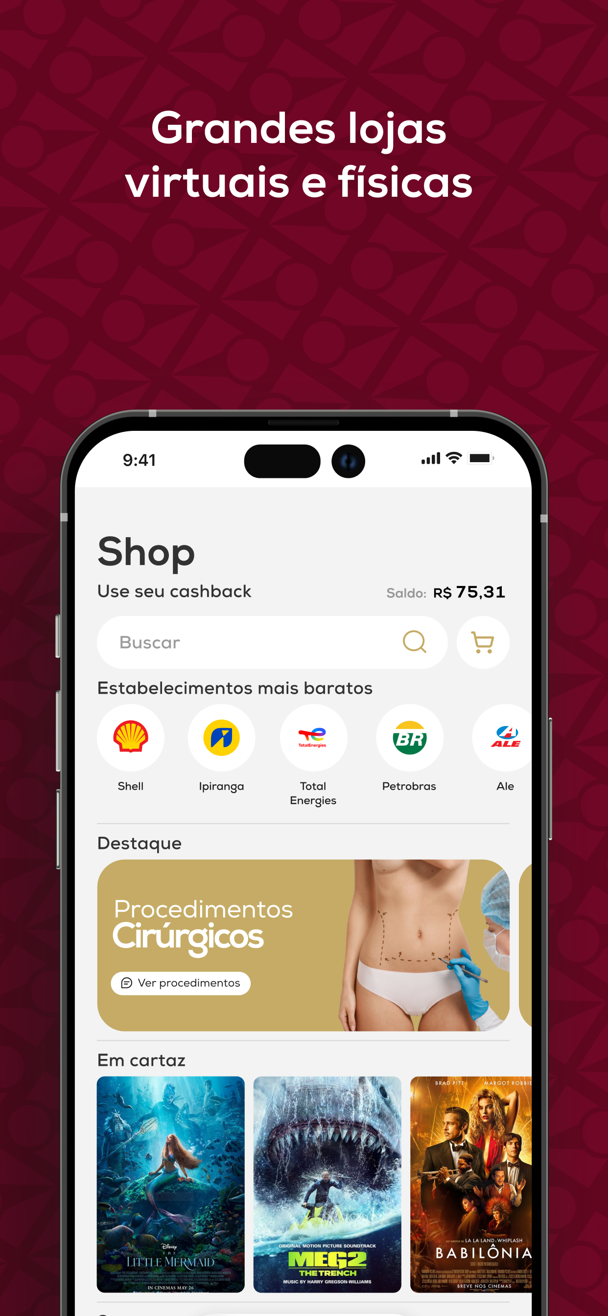 Fibinet Soluções +