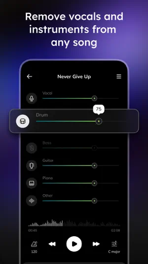Vocal Remover - Musiclab screenshot 3
