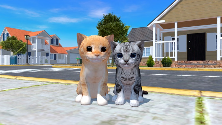 Cat Simulator 3D - Animal Life screenshot-0