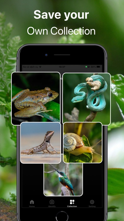 Frog Identifier Frog Sound ID screenshot-4