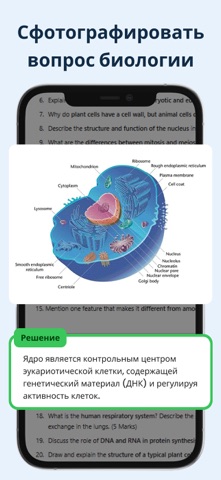 домашнее задание AI математика iPhone screenshot 3