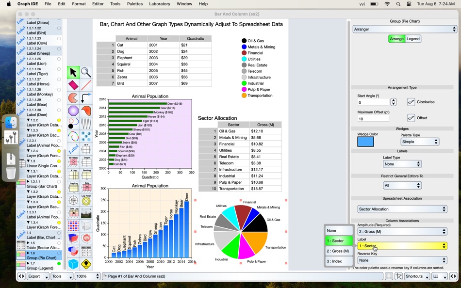 #2. Graph IDE (macOS) By: VVIMAGING, INC.
