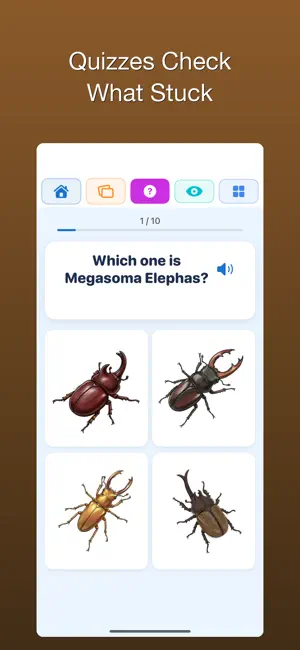 100 Beetles: Kabutomushi Kids screenshot 4