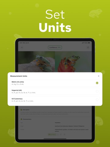 Frog Identifier – Frogium iPad screenshot