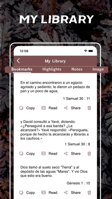 Bible Latinoamericana Screenshot