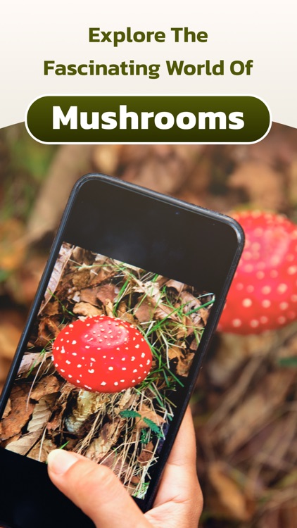 Mushroom Identifier -