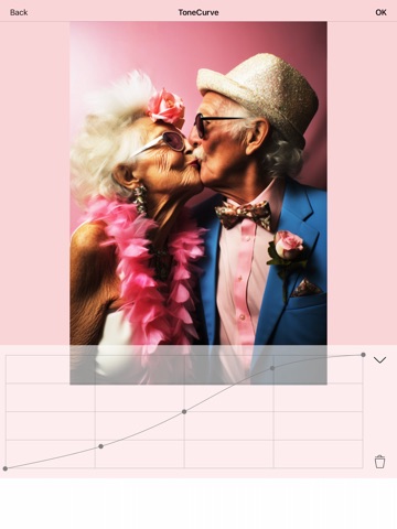 Romantic love photo frames. iPad screenshot
