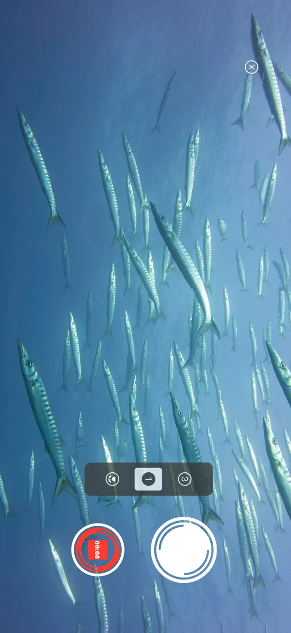 #2. ScubAI: Underwater Photo AI (iOS) โดย: KAMIL PAWEL BUDZYNSKI
