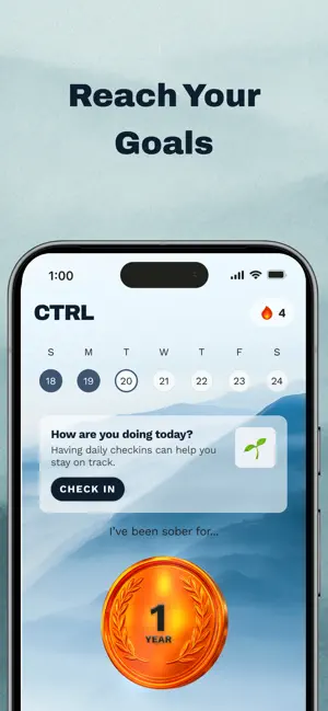 CTRL - Get Sober screenshot 4