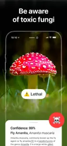 Mushroom Identifier - Fungi ID screenshot #2 for iPhone