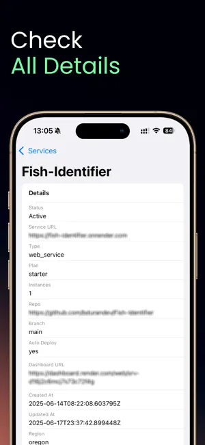 RenDeploy - Deployment Center screenshot 2
