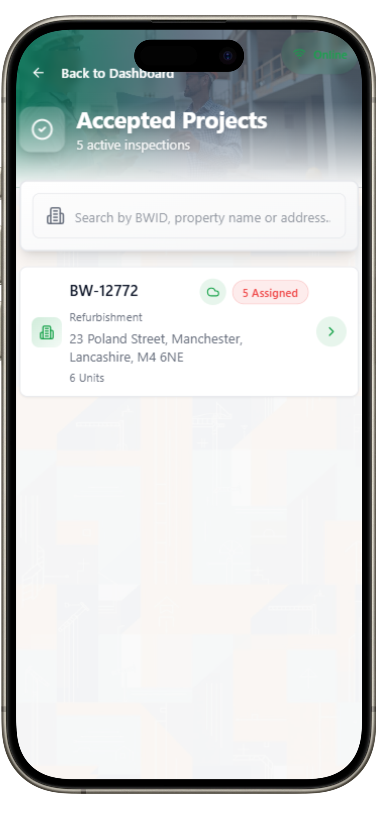 BW Surveyor screenshot 3