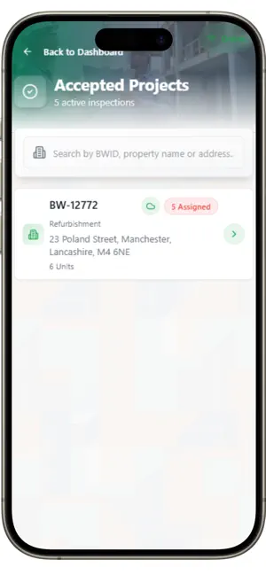 BW Surveyor screenshot 3