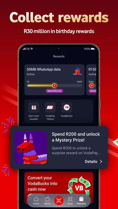 VodaPay Screenshot