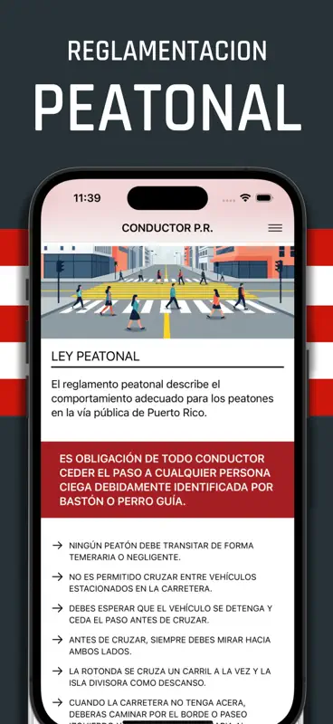 Conductor Puerto Rico screenshot 7 of 8