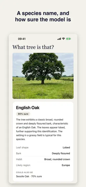 Tree Identifier: Fairly screenshot 2