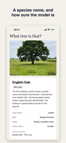 Tree Identifier: Fairly Screenshot 2 of 5