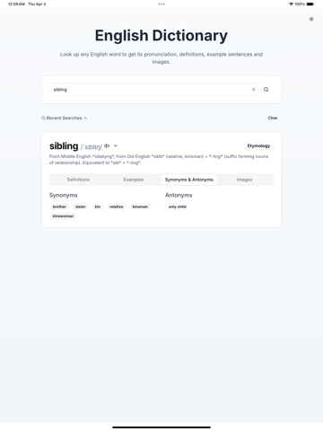 AI-Powered English Dictionary iPad screenshot