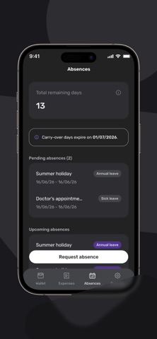 Native Teams Payments screenshot
