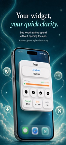 Nori - Spending Support screenshot
